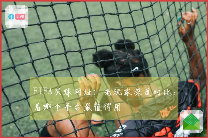 FIFA买球网址：老玩家深度对比，看哪个平台最值得用