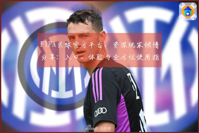FIFA买球官方平台，资深玩家倾情分享：入口、体验与全方位使用指南